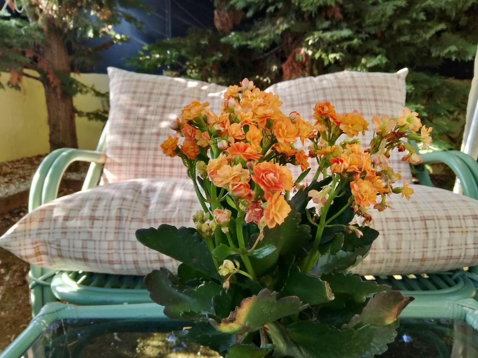 Like My Home Ártemida Kültér fotó